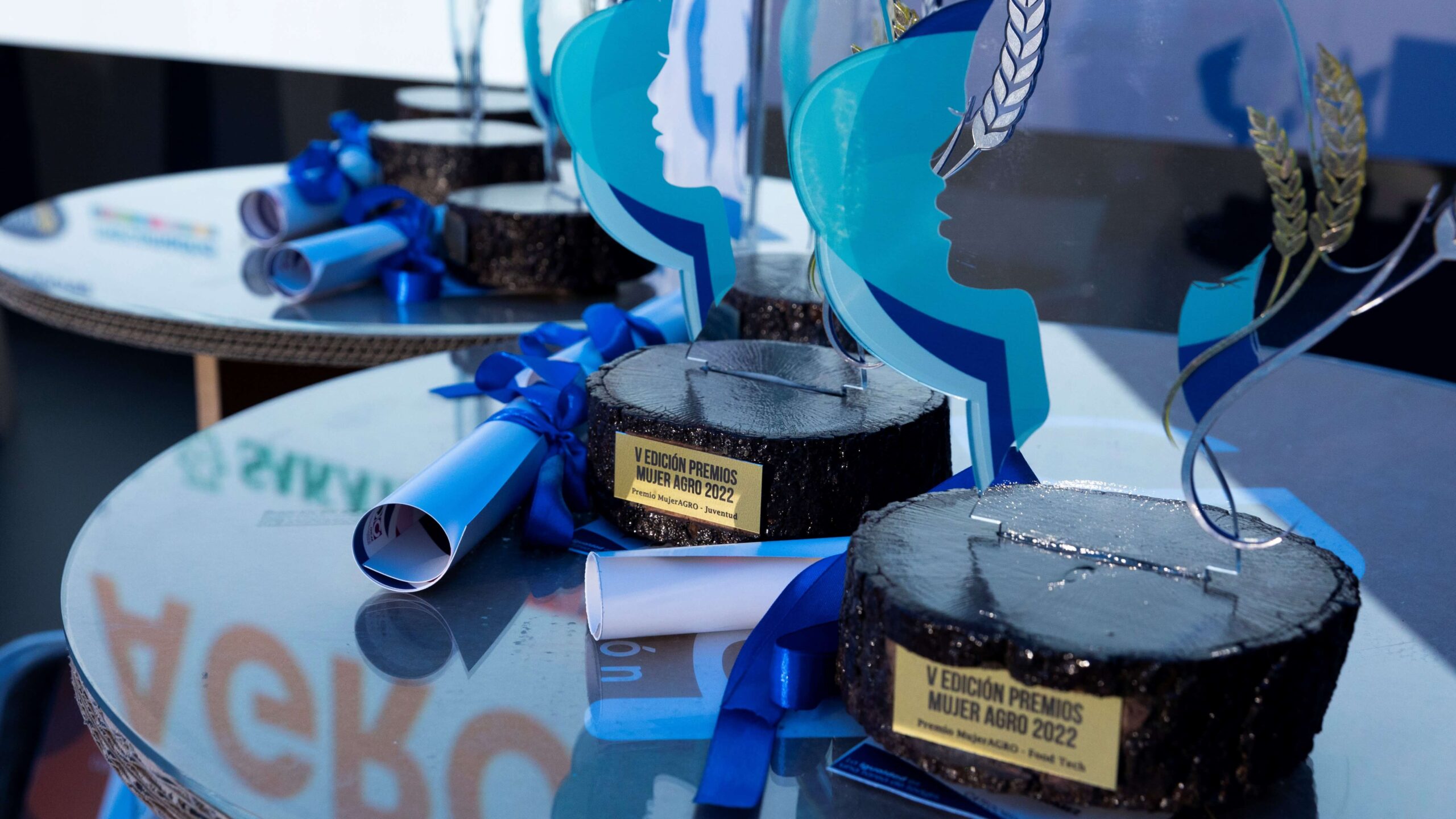 Estatuillas de los V Premios MujerAGRO